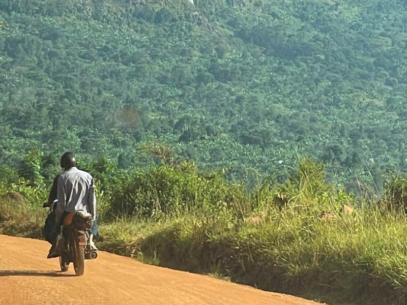 Ethically source premium Ugandan coffee beans